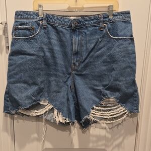 Abercrombie & Fitch Curve Love High Rise Loose Shorts